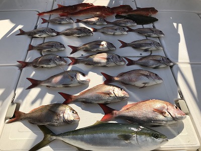 フィシングボートAir(エアー) 釣果