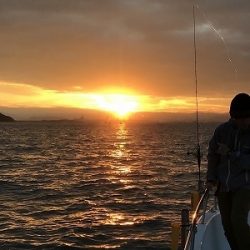 フィシングボートAir(エアー) 釣果