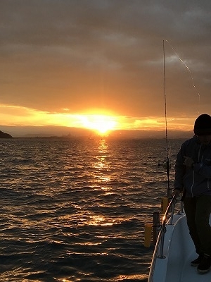 フィシングボートAir(エアー) 釣果