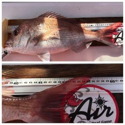 フィシングボートAir(エアー) 釣果