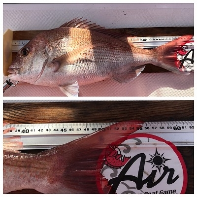 フィシングボートAir(エアー) 釣果