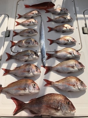 フィシングボートAir(エアー) 釣果