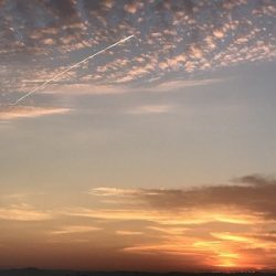 フィシングボートAir(エアー) 釣果