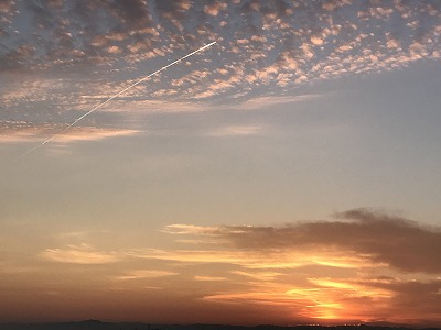 フィシングボートAir(エアー) 釣果