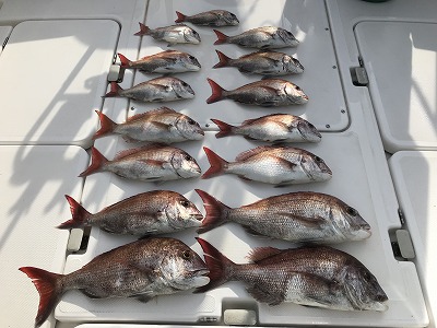 フィシングボートAir(エアー) 釣果