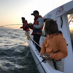 フィシングボートAir(エアー) 釣果