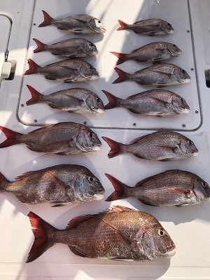 フィシングボートAir(エアー) 釣果