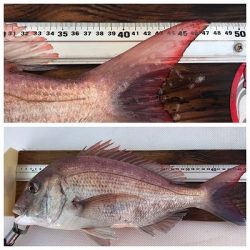 フィシングボートAir(エアー) 釣果