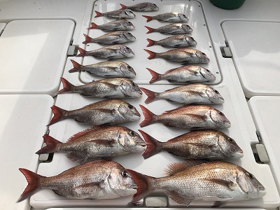 フィシングボートAir(エアー) 釣果