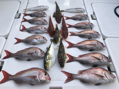 フィシングボートAir(エアー) 釣果