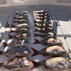 フィシングボートAir(エアー) 釣果