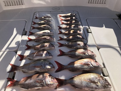 フィシングボートAir(エアー) 釣果