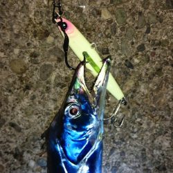 メタルジャッカーオールグロー+蓄光ライトでナイトショアジギング★LUMICAメタルジャッカー新色インプレッション