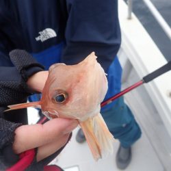 Aquanaut(アクアノート) 釣果