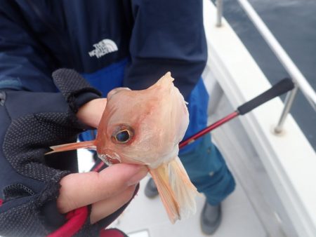 Aquanaut(アクアノート) 釣果