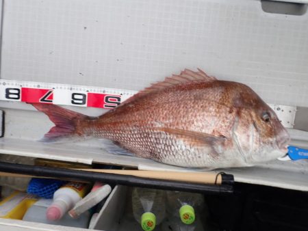 Aquanaut(アクアノート) 釣果