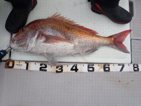 Aquanaut(アクアノート) 釣果