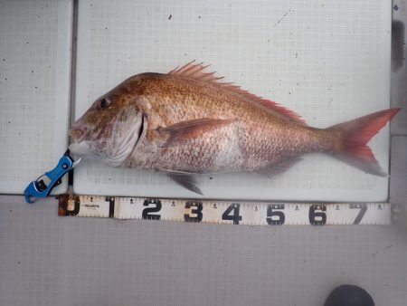 Aquanaut（アクアノート） 釣果