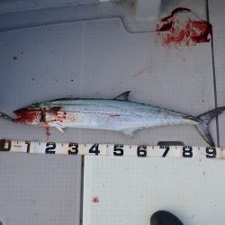 Aquanaut（アクアノート） 釣果