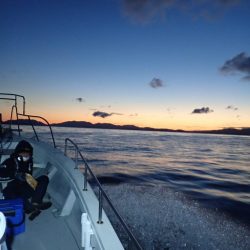 Aquanaut(アクアノート) 釣果