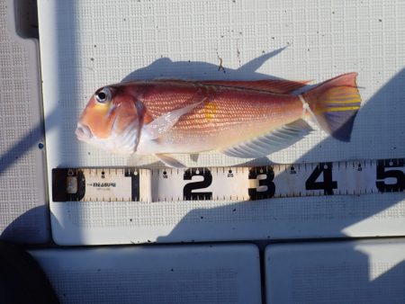 Aquanaut（アクアノート） 釣果