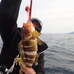 Aquanaut（アクアノート） 釣果