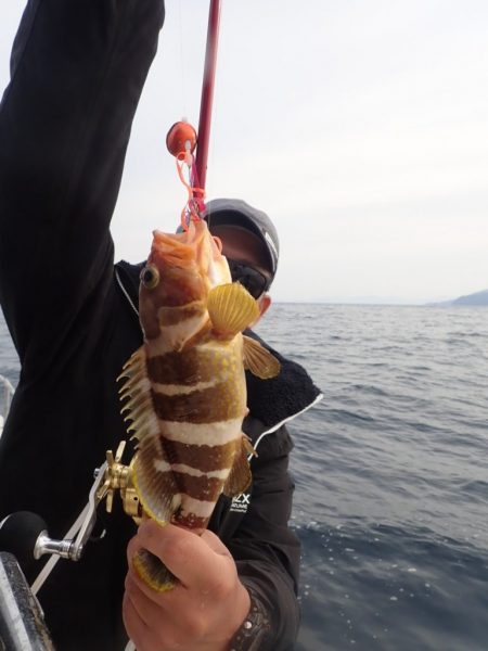 Aquanaut（アクアノート） 釣果