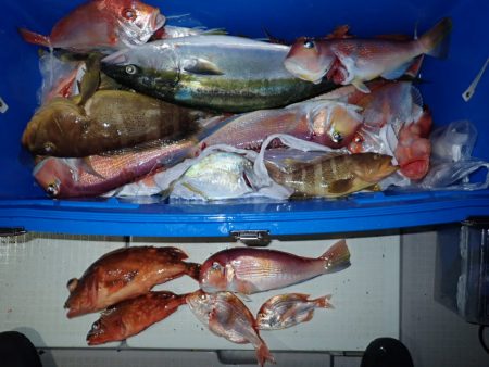 Aquanaut（アクアノート） 釣果