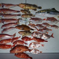 Aquanaut（アクアノート） 釣果