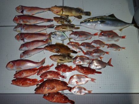 Aquanaut（アクアノート） 釣果