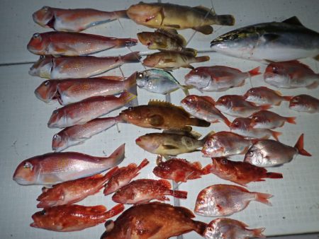 Aquanaut（アクアノート） 釣果