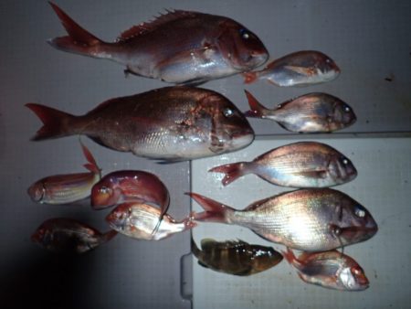 Aquanaut(アクアノート) 釣果