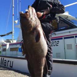 松栄丸 釣果 千葉 泳がせ のませ クエ ジギング船 釣り船 釣果情報サイト カンパリ