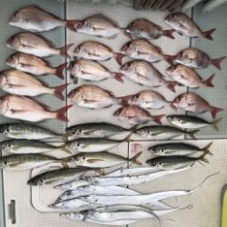 さぶろう丸 釣果