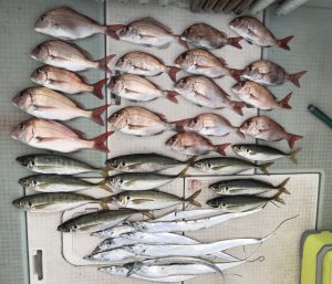 さぶろう丸 釣果