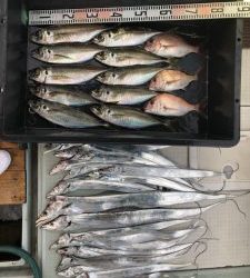 さぶろう丸 釣果