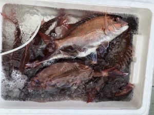 さぶろう丸 釣果