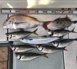 さぶろう丸 釣果