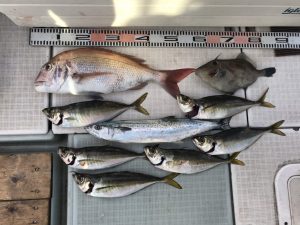 さぶろう丸 釣果