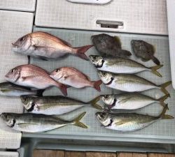 さぶろう丸 釣果