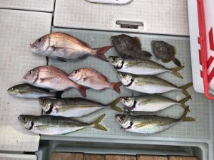 さぶろう丸 釣果