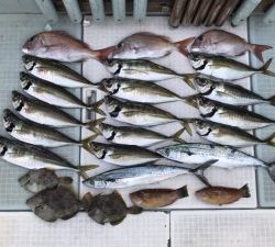 さぶろう丸 釣果