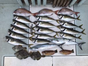 さぶろう丸 釣果
