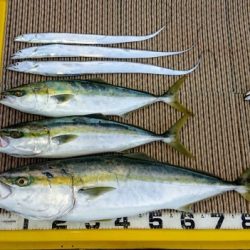 火遠理丸（ほおりまる） 釣果