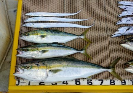 火遠理丸（ほおりまる） 釣果