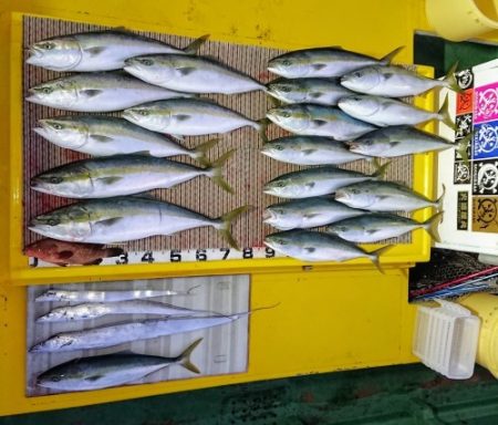 火遠理丸（ほおりまる） 釣果