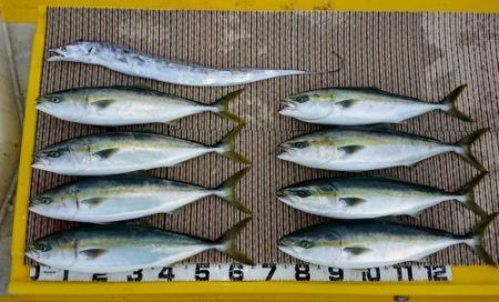 火遠理丸（ほおりまる） 釣果