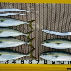 火遠理丸（ほおりまる） 釣果