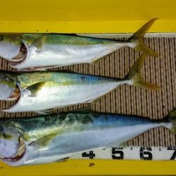 火遠理丸（ほおりまる） 釣果