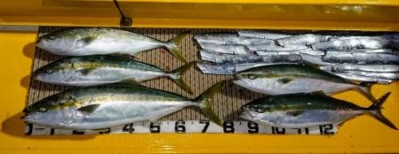 火遠理丸（ほおりまる） 釣果